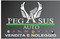 Logo Pegasus Auto srls